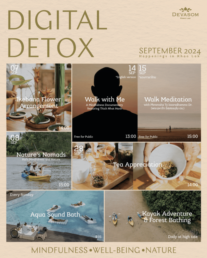 7 Essential Differences: Digital Detox vs. Digital Mindfulness (2025 Guide)
