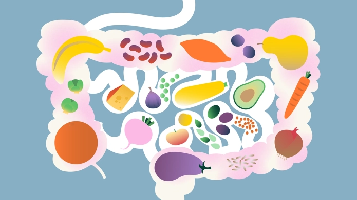 Digestive Gut Health 101: Nutrition, Microbiome, and Lifestyle for Better Health