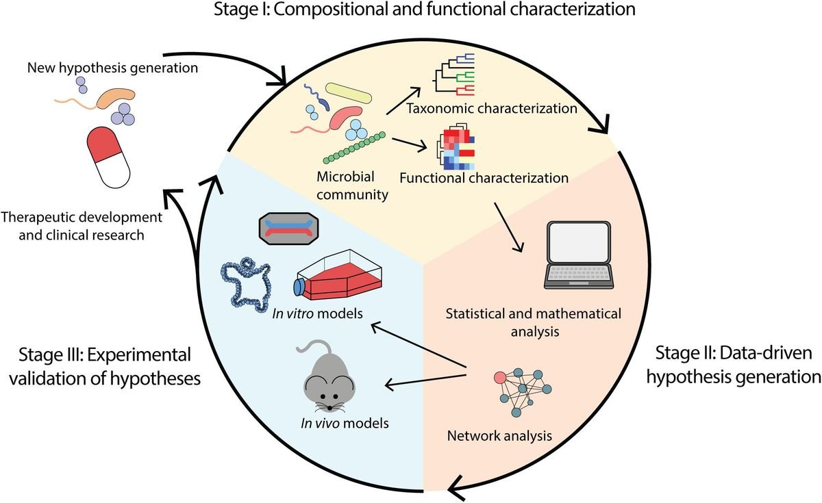 Emerging Technologies in Gut Microbiome Research: Transforming Digestive Health in the U.S.