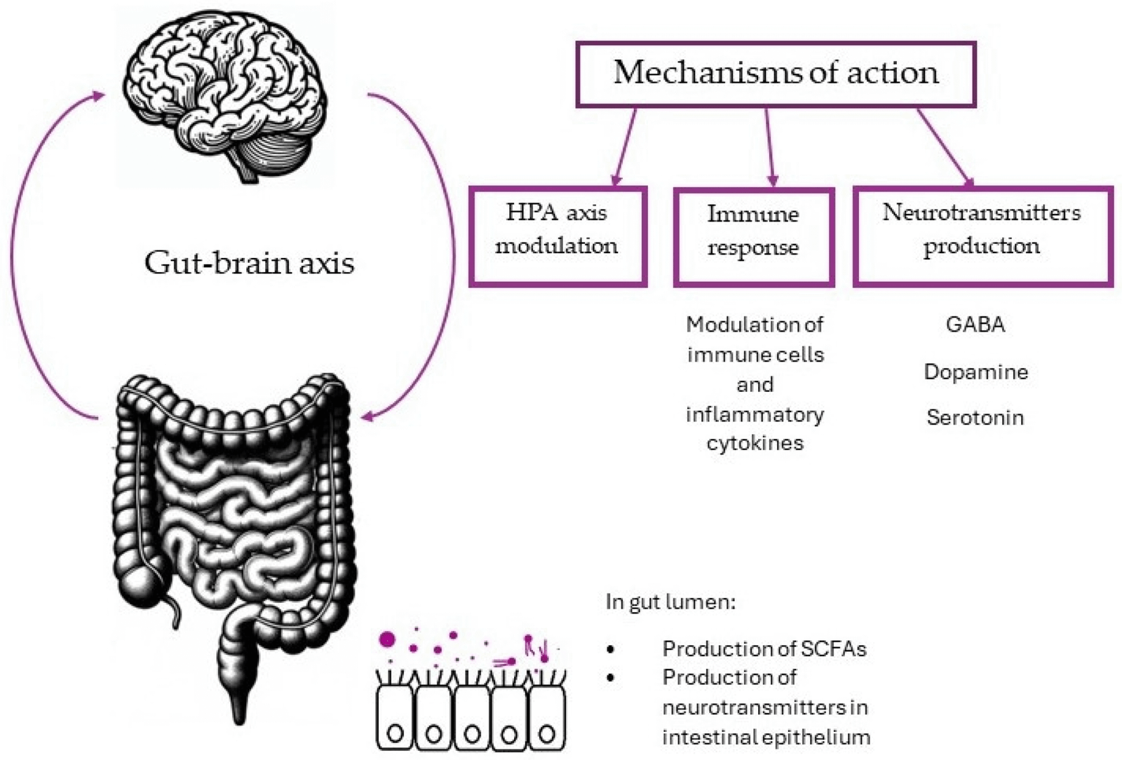 Can Gut Health Help with Depression & Anxiety? The Science of Psychobiotics