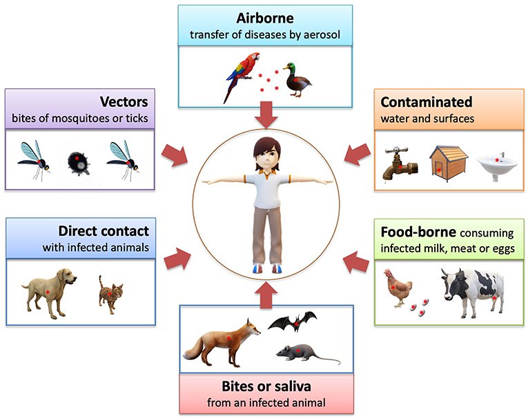 The Role of Pets & Wildlife in Human Infectious Disease — What You Should Know