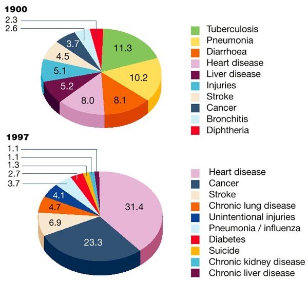 What Are the Most Common Infectious Diseases in the US?