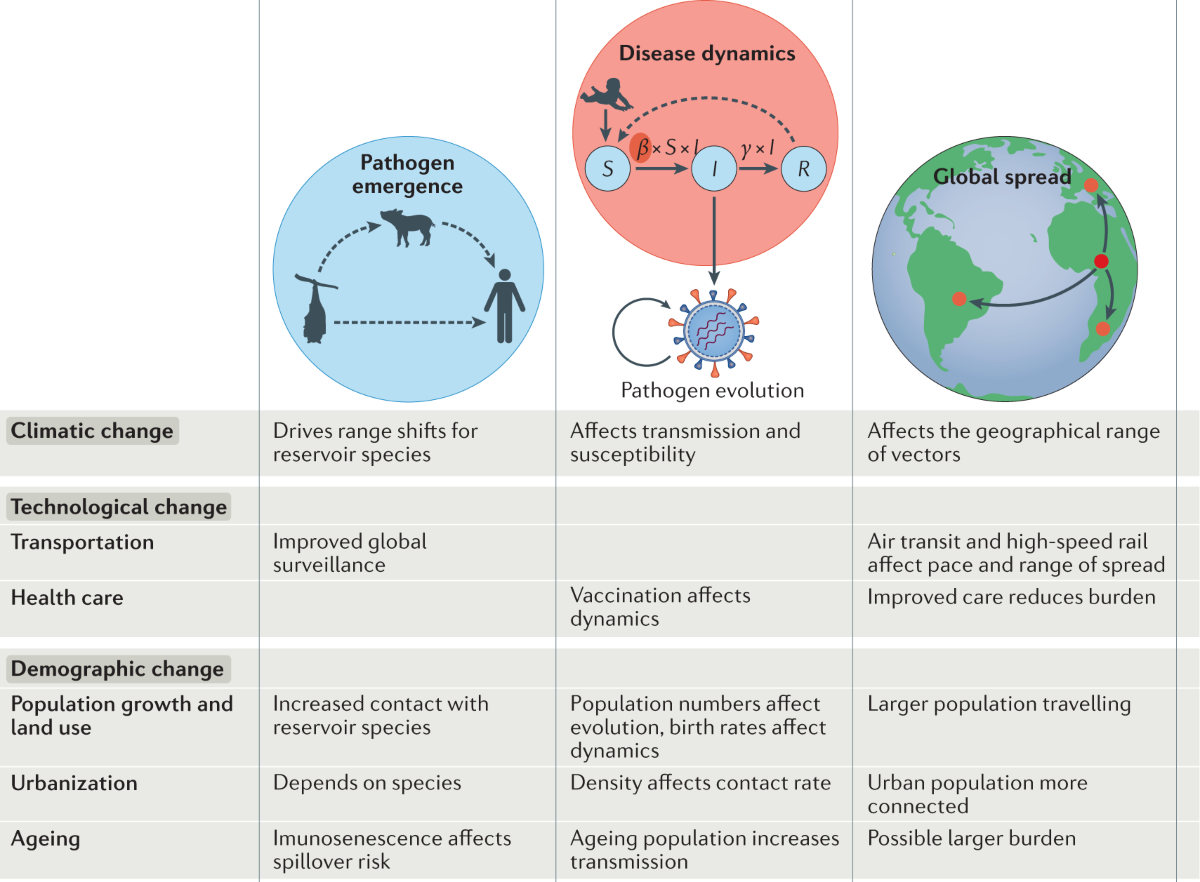 Future Outlook: Can the U.S. Curb the Lifestyle Disease Epidemic?