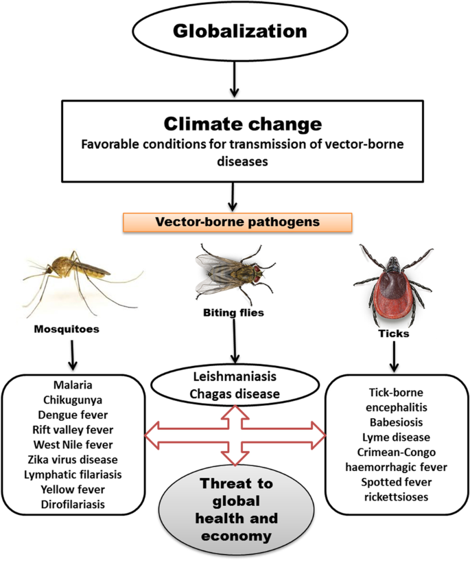 Resurgent Vector-Borne Threats: Assessing the Expansion of Lyme Disease and West Nile Virus in the United States