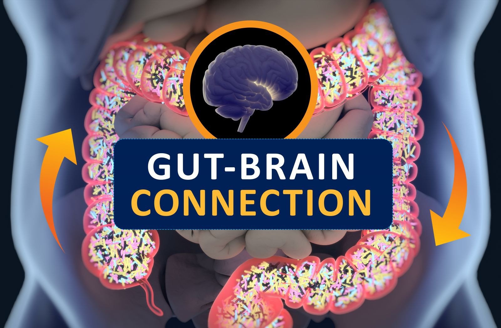 The Gut-Brain Connection: How Stress and Anxiety Are Wrecking Your Digestion