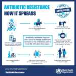 Antimicrobial Resistance (AMR): Is the U.S. Losing the Fight Against Superbugs in Hospitals and Communities?