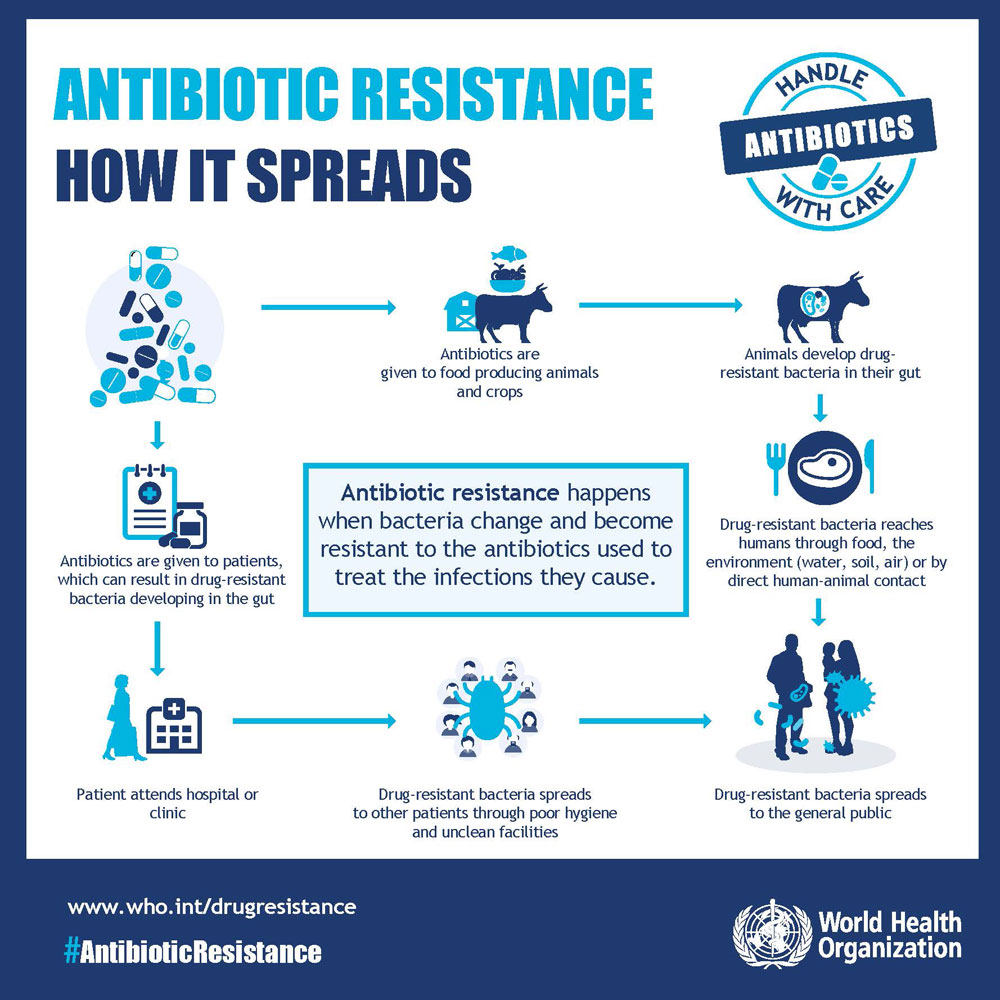 Antimicrobial Resistance (AMR): Is the U.S. Losing the Fight Against Superbugs in Hospitals and Communities?