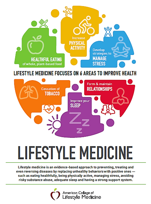 Lifestyle Reset: A Practical Guide for Americans to Prevent 80% of Chronic Diseases