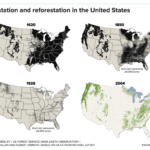Lyme Disease Expansion: Tracking the Northward and Westward Spread of Tick-Borne Illnesses Across the U.S.