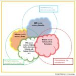 The Preventable Return: How Vaccine Hesitancy is Fueling Measles Outbreaks in American Communities