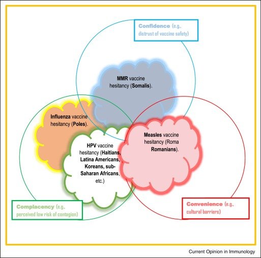 The Preventable Return: How Vaccine Hesitancy is Fueling Measles Outbreaks in American Communities